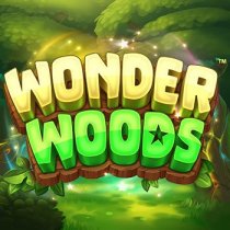 Laro Wonder Woods Wonder Woods