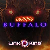 Laro Link King Burning Buffalo Link King Burning Buffalo