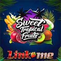 Laro Link Me Sweet Tropical Fruits Link Me Sweet Tropical Fruits