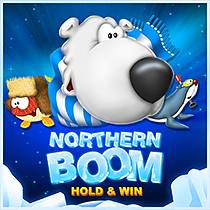 Laro Northern Boom Northern Boom